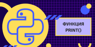 1. Функция print() 1. Функция print()