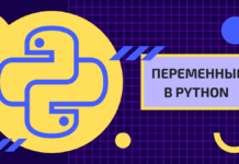 Переменные в python для начинающих