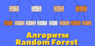 Алгоритм классификации Random Forest на Python